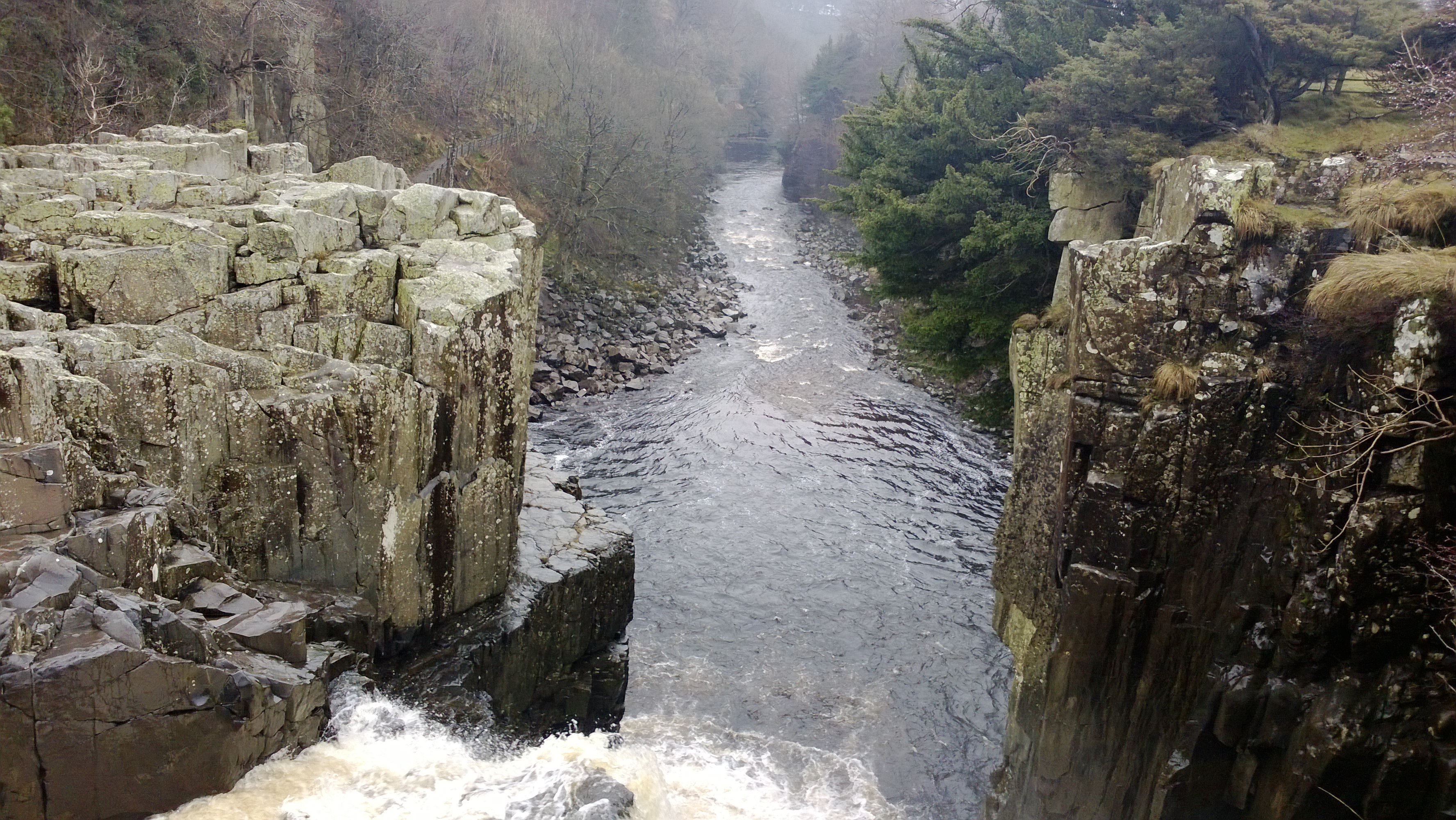 high_force-1