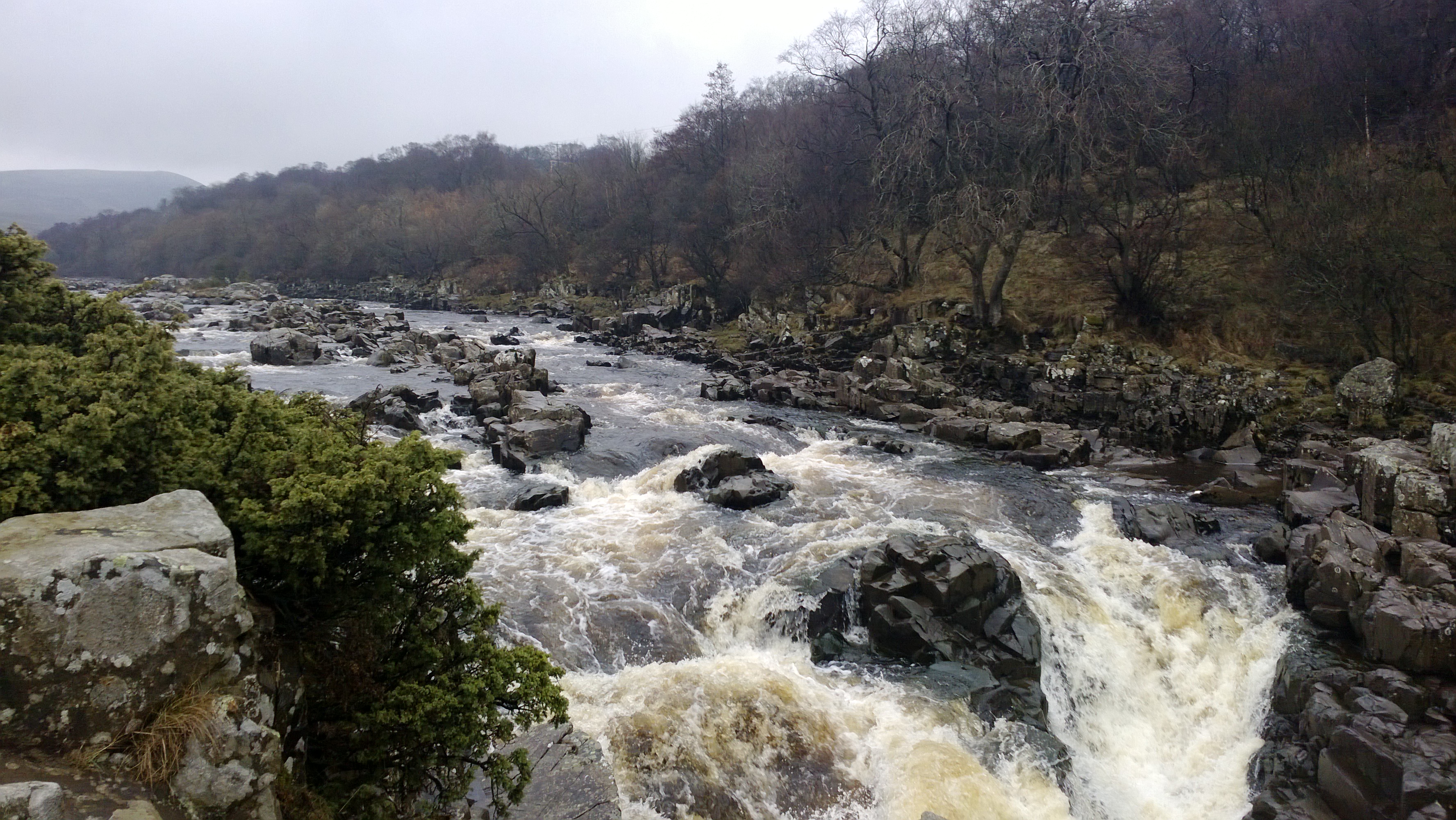 high_force-3