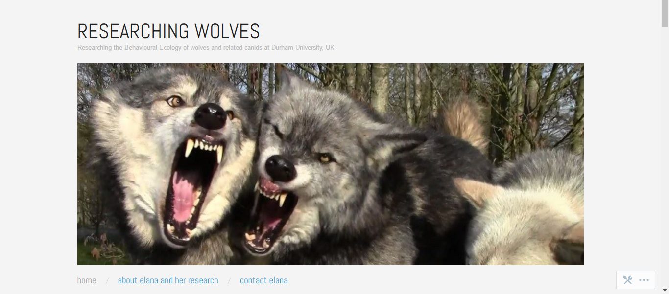 researching_wolves-screen_shot