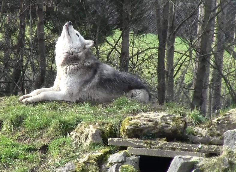 tundra_hill-2