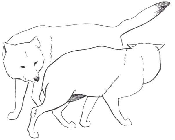 figure_1