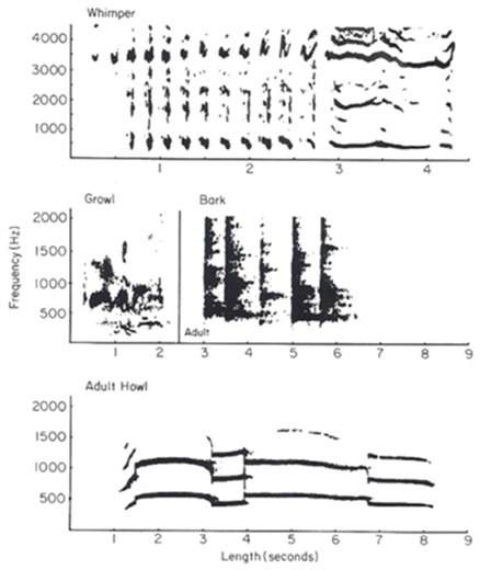 figure_2