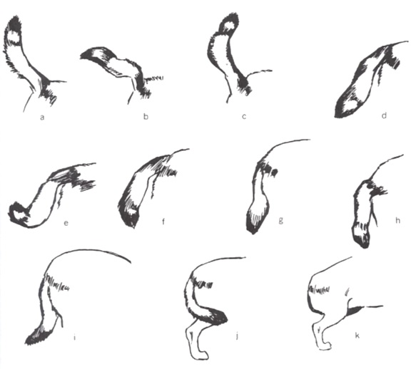 figure_4