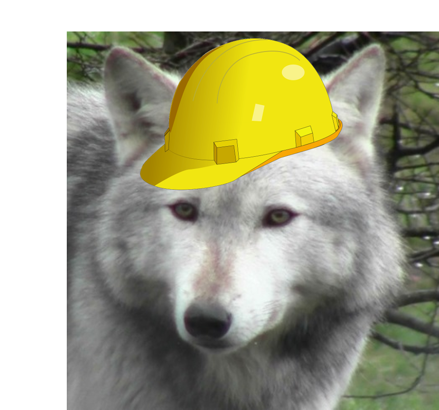 Canny canid maintenance taking place...